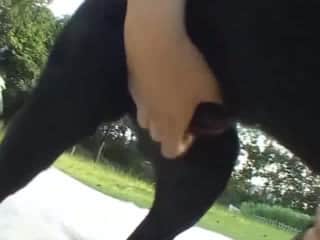Petite Asian women engage in an outdoor zoo foursome with Labradors