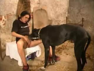 Great Dane makes geeky amateur spouse feel like having fun and pleasure