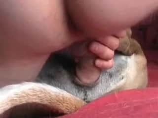 Animal sex-obsessed individual engages in a harsh act with his pet dog