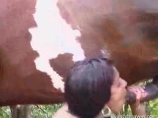 Brunette zoophile girl is about to receive a load of cum from that horse