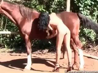 Nice girl caressing her cat while she adores horse penis with enthusiasm