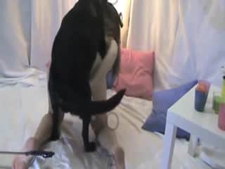 Attractive woman with a toned backside is joyfully pleased by an unconventional being