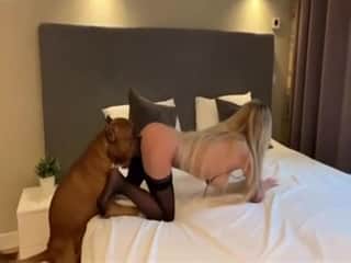 Black stockings zoophile creates that magic with a mixed-breed dog