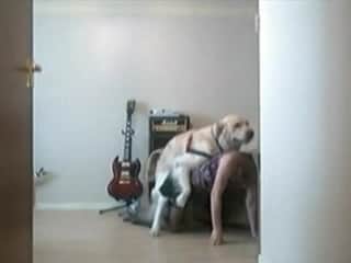 Cutie enjoys being intimate with her large dog whenever she desires