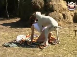 Large dog engages with amateur woman's moist intimate area in bright outdoor adult scenes