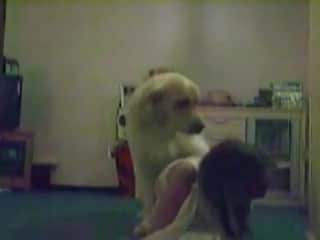 Frisky lady seeks her dog's member and revels in wild animal erotica