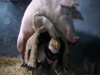 Masked blonde seeks to safeguard herself while engaging with a pig on farm XXX