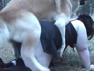 Zoo fuck clip starring a dog