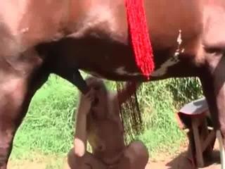 Dirty whore is satisfying a horse