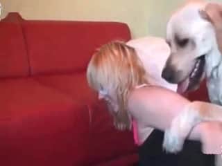 Dog knows what a dog wants