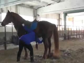 Russian Woman & Horse: Russia's Zoo Team