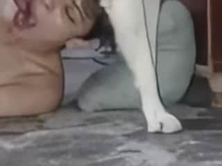 Bestial Blow