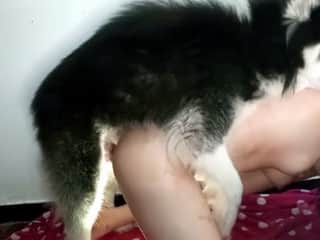 Cali's Four-Legged Companion