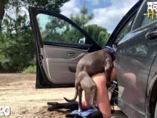 Experience the Allure of outdoor dogsex
