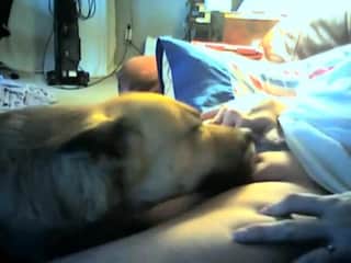 Mature Woman Gets Licked by Dog