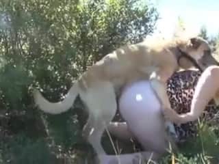 Big woman indulges in bestiality with her dog