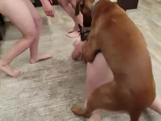 Beast: Canine Encounter in a Mansion