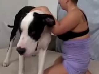 Giant Hound