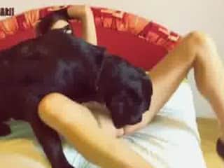 Gorgeous Brunette Enjoys a toy with her dog