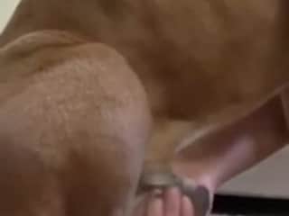 A Woman and Her Canine