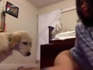 A Thrilling Encounter with an Asian Woman and Her Dog