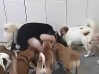 Ferocious Canine Clan