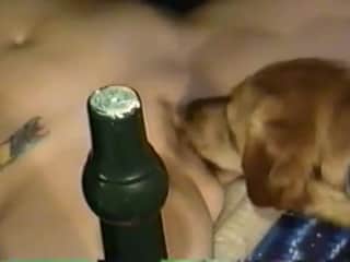 Woman Obeys Her Dog