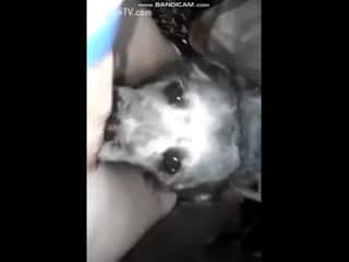 A Woman, A Dog: Having Fun