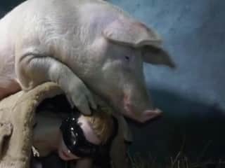 Woman and Pig in Shocking Footage