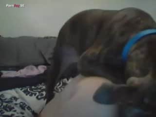 My Dog Admires My Voluptuous Figure