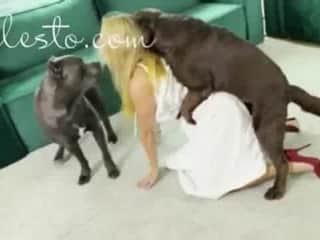 Exotic Kisses, Beastly TikToks, & Canine Passions