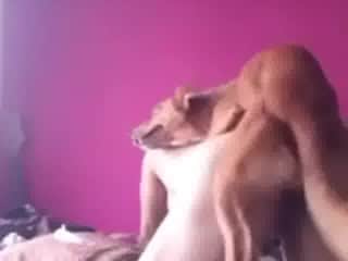 The Fitness Girl's Canine Adventure