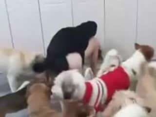 A Woman and Her Pack