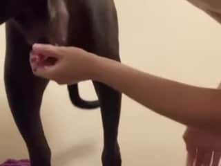 Woman and Dog: A Forbidden Meeting