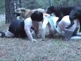 Two fat grannies and two dogs