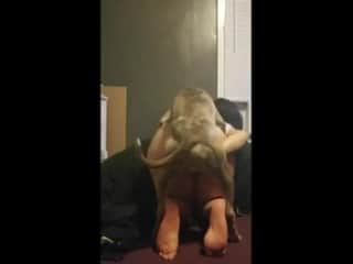 KnottyGal - Part 1: An Unexpected Encounter