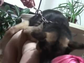 Russian Team - Sofya and Her Canine Companion