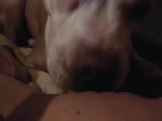 Canine Orgasm: Femae Slut Gives Herself to Her Favorite Dog