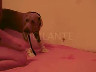 Intimate Moment: Dog and Mistress