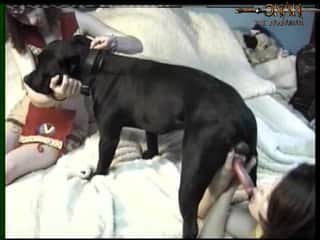 The Fuck That Makes Times Rise - Zootube Porn Movies