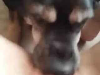 Bald woman gets fucked by a dog