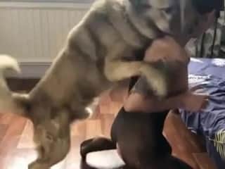 Forbidden Intimacy: A Wild Encounter