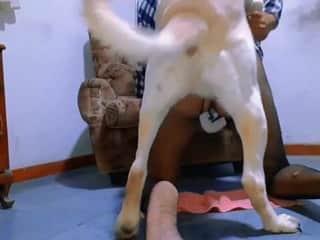 Candy's Intimate Encounter with Man's Best Friend