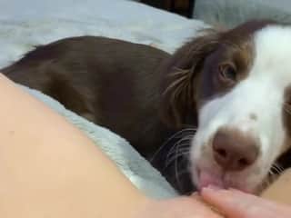 Young Redhead Introduces Curious Dog To Animal Sex