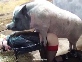 Zoofile: Girls with sexy pig