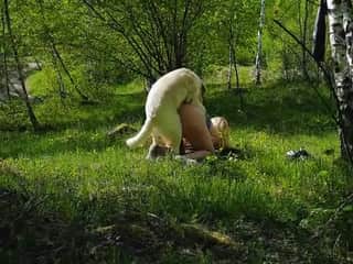 Flow Intense - Yasmin - Animal Weekend