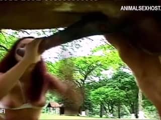 Horse blowjob