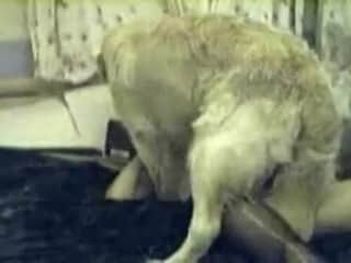 In Bed With Shylark II - A blonde and her dog