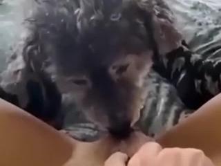 First passionate canine kiss