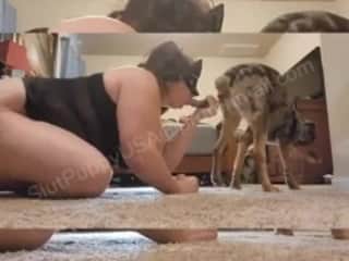 Chubby woman and her canine lover